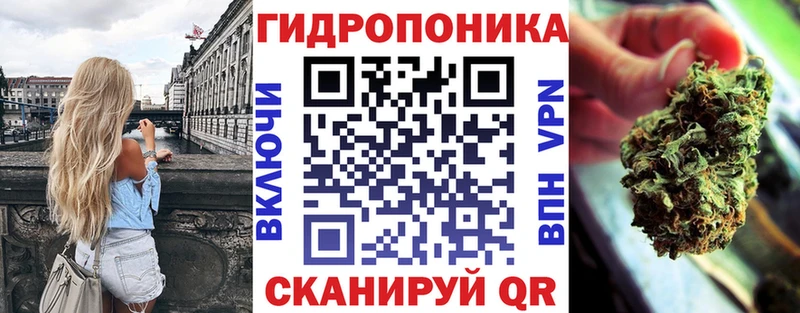 дарнет шоп  Гаврилов-Ям  Шишки марихуана гибрид 